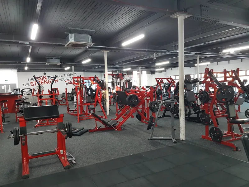100% Gym
